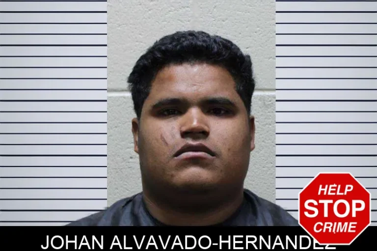 Johan Alvavado-Hernandez