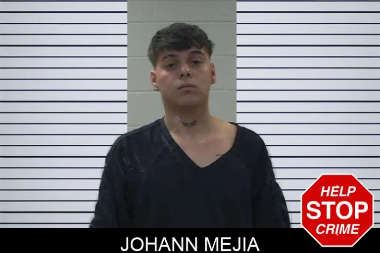 Johann Mejia mugshot – Gilmer County , Georgia Johann Mejia