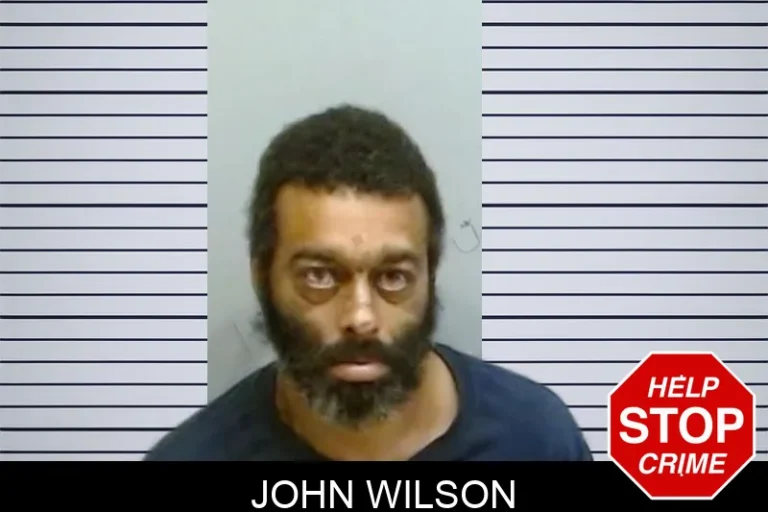 John Wilson