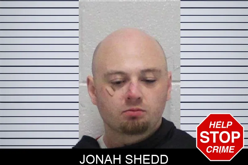 Jonah Shedd Mugshots