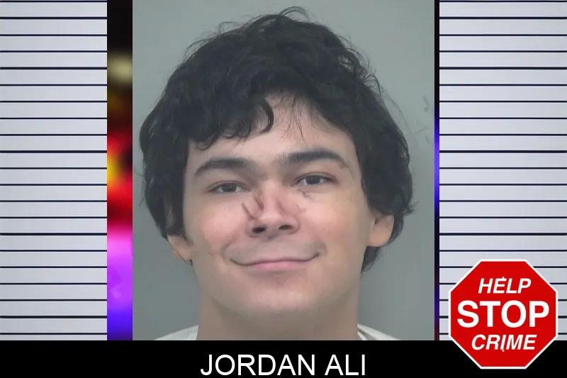 Jordan Ali Mugshots