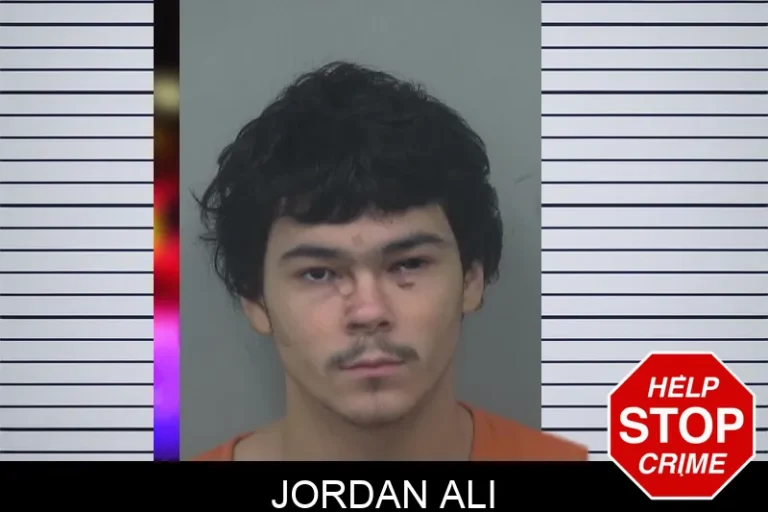 Jordan Ali mugshot – Gwinnett County , Georgia Jordan Ali