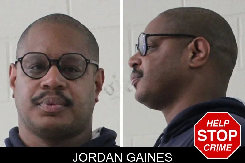 Jordan Gaines