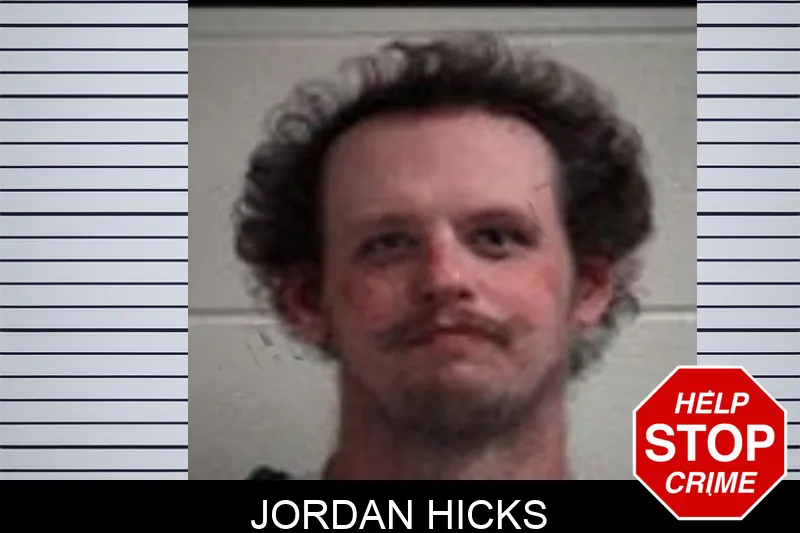 Jordan Hicks mugshot