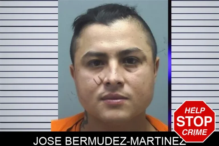 Jose Bermudez-Martinez