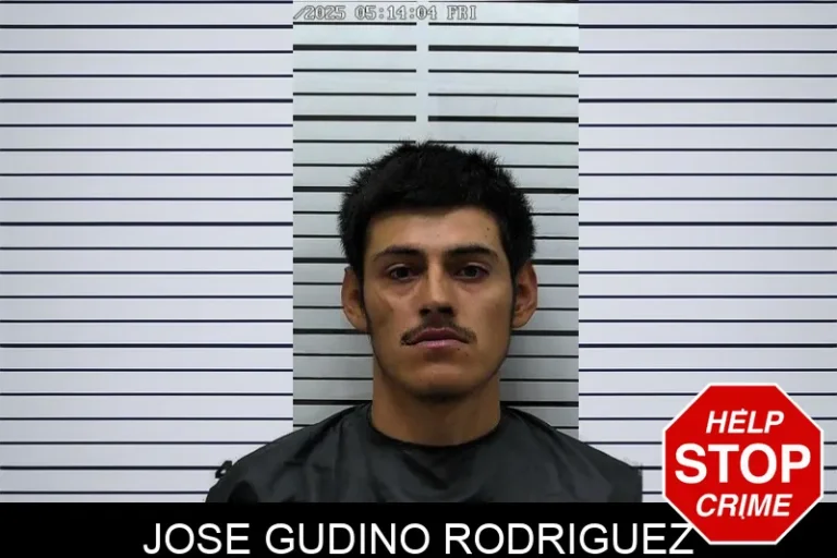 Jose Gudino Rodriguez