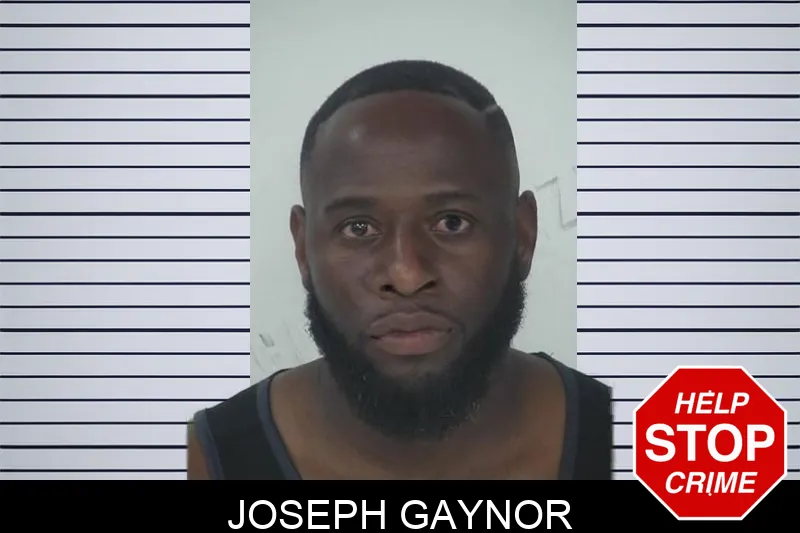 Joseph Gaynor Mugshots