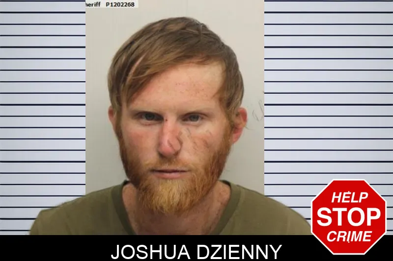 Joshua Dzienny mugshot – Chatham County , Georgia Joshua Dzienny mugshot