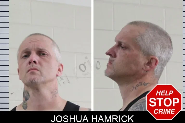 Joshua Hamrick mugshot – Houston County , Georgia Joshua Hamrick