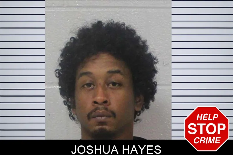 Joshua Hayes Mugshots