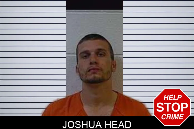Joshua Head Mugshots