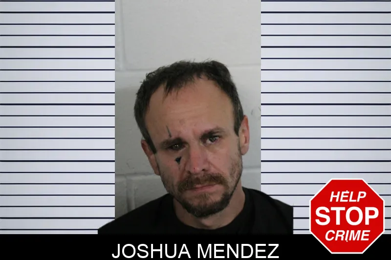 Joshua Mendez Mugshots