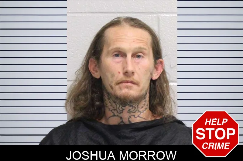 Joshua Morrow Mugshots