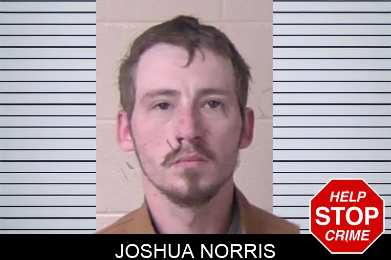 Joshua Norris Mugshots