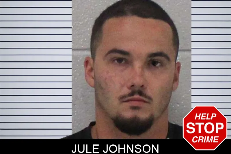 Jule Johnson mugshot