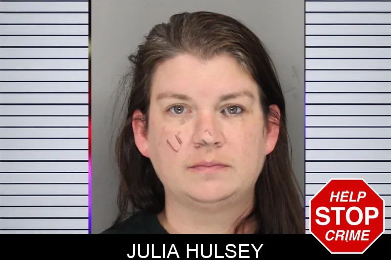 Julia Hulsey Mugshots