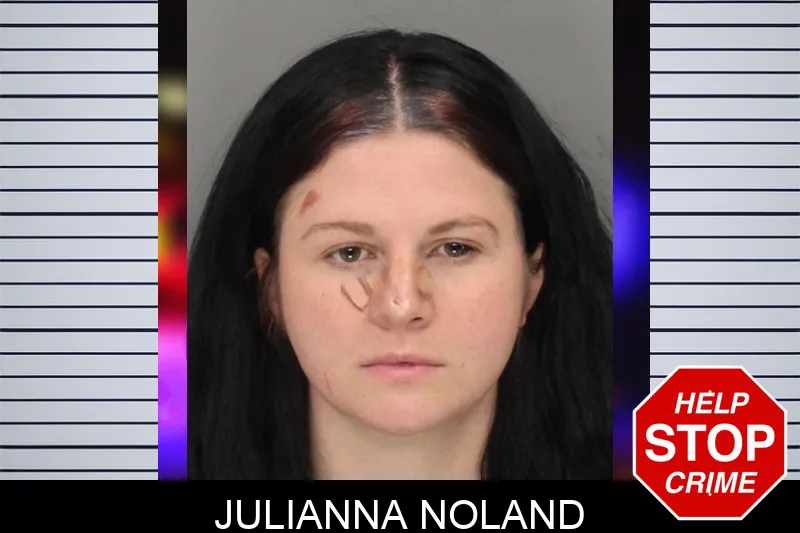Julianna Noland mugshot – Cobb County , Georgia Julianna Noland mugshot