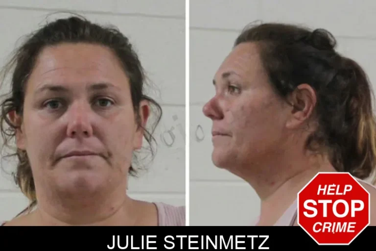 Julie Steinmetz mugshot – Houston County , Georgia Julie Steinmetz