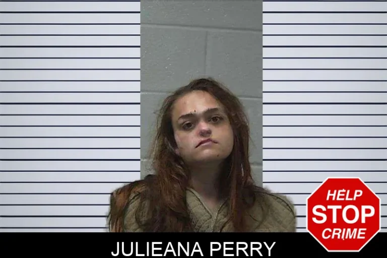 Julieana Perry mugshot – Gilmer County , Georgia Julieana Perry