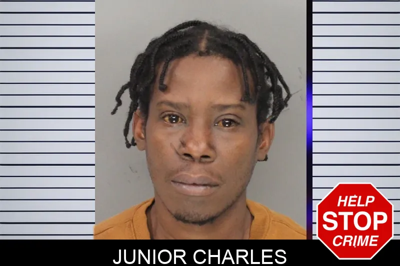 Junior Charles Mugshots