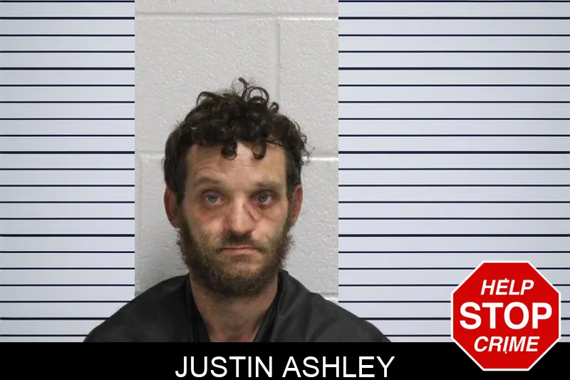 Justin Ashley Mugshots
