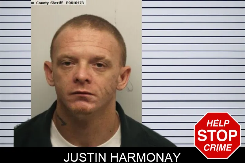Justin Harmonay mugshot – Chatham County , Georgia Justin Harmonay mugshot