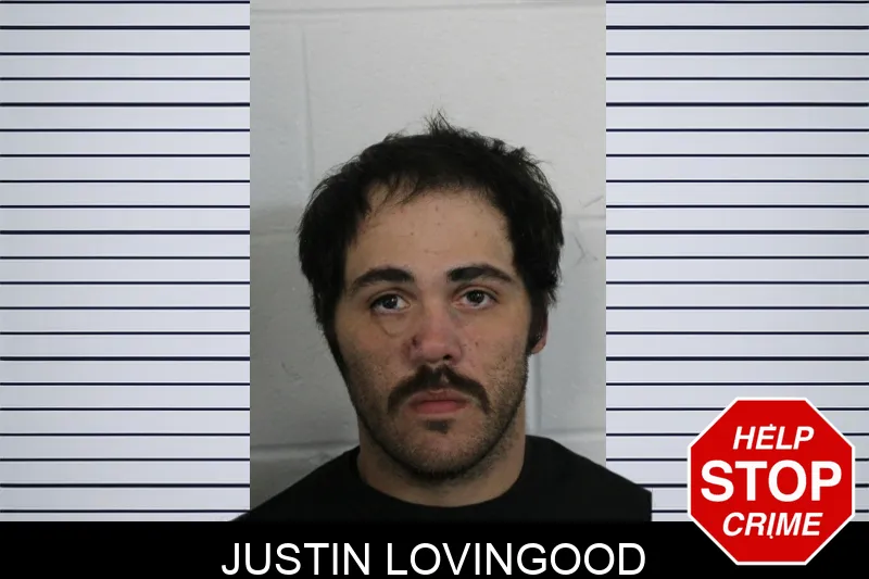 Justin Lovingood Mugshots