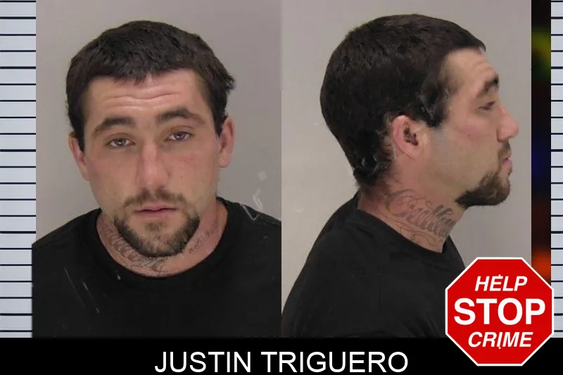 Justin Triguero mugshot