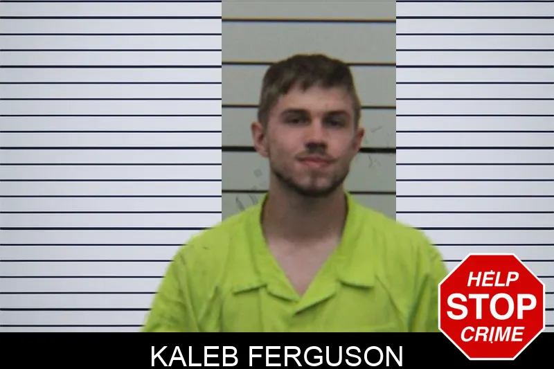 Kaleb Ferguson