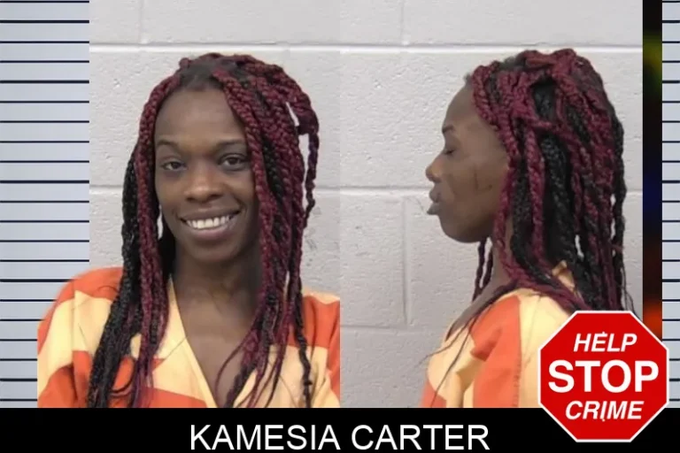 Kamesia Carter mugshot – Paulding County , Georgia Kamesia Carter
