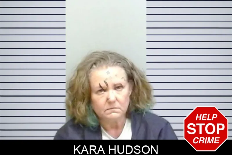 Kara Hudson mugshot – Fulton County , Georgia Kara Hudson mugshot
