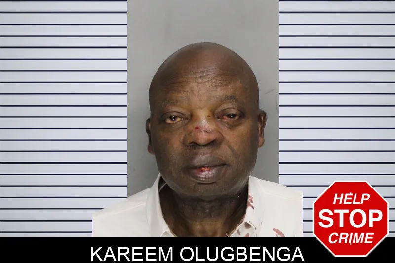 Kareem Olugbenga Mugshots