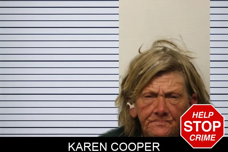 Karen Cooper mugshot – Chatham County , Georgia Karen Cooper mugshot