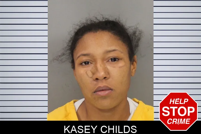 Kasey Childs mugshot – Cobb County , Georgia Kasey Childs mugshot