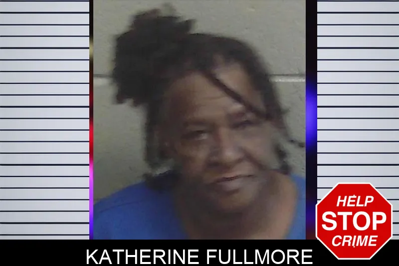 Katherine Fullmore mugshot – Wayne County , Georgia Katherine Fullmore mugshot