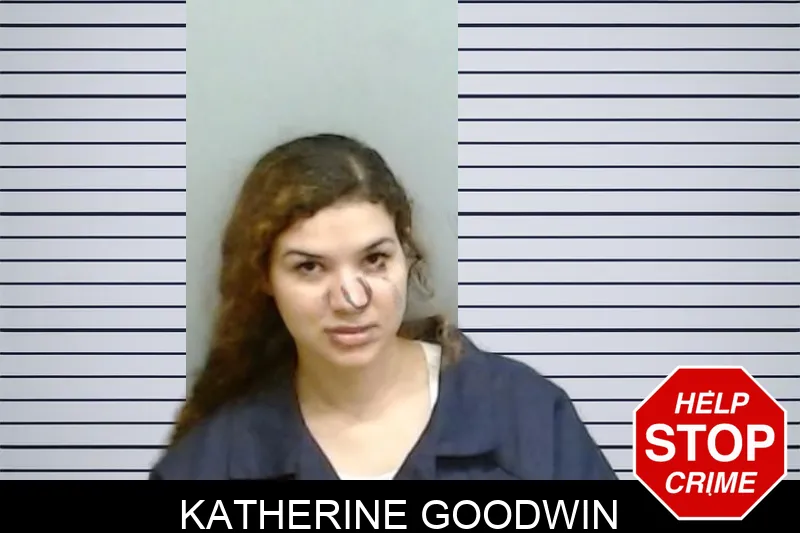 Katherine Goodwin mugshot