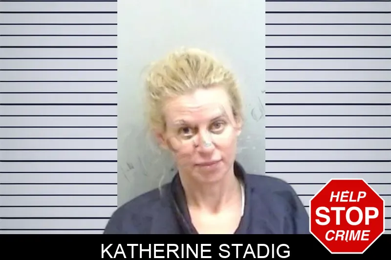 Katherine Stadig mugshot – Fulton County , Georgia Katherine Stadig mugshot