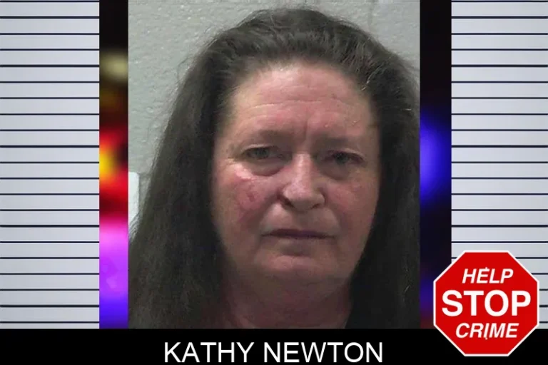 Kathy Newton mugshot – Gilmer County , Georgia Kathy Newton