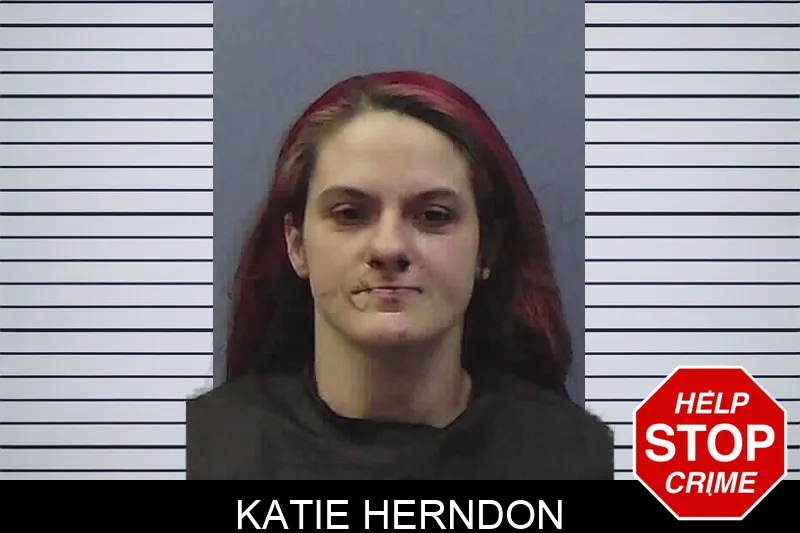 Katie Herndon Mugshots