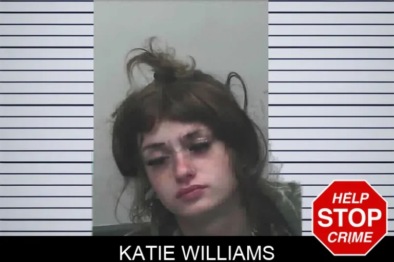 Katie Williams mugshot – Lanier County , Georgia Katie Williams