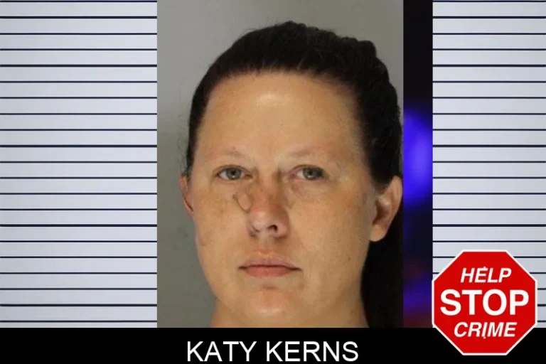 Katy Kerns mugshot – Hall County , Georgia Katy Kerns