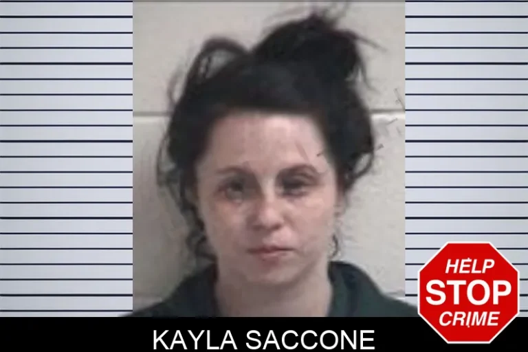 Kayla Saccone