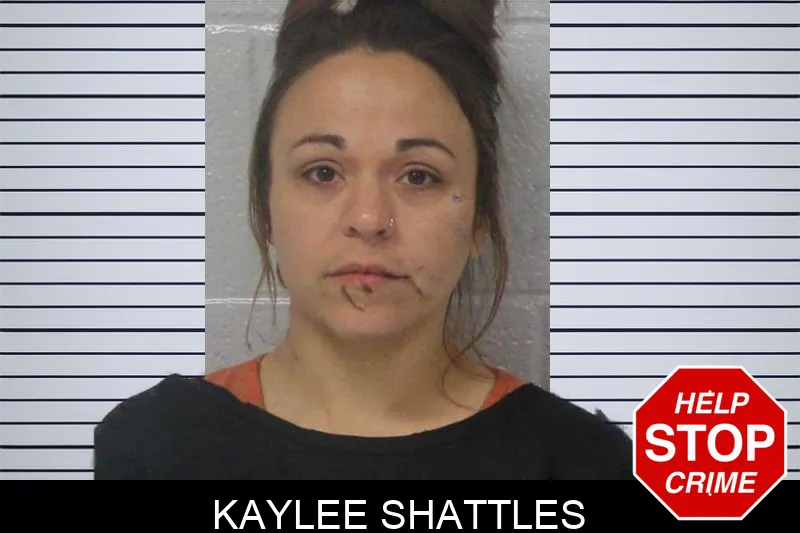 Kaylee Shattles Mugshots