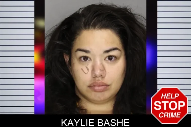 Kaylie Bashe mugshot – Cobb County , Georgia Kaylie Bashe