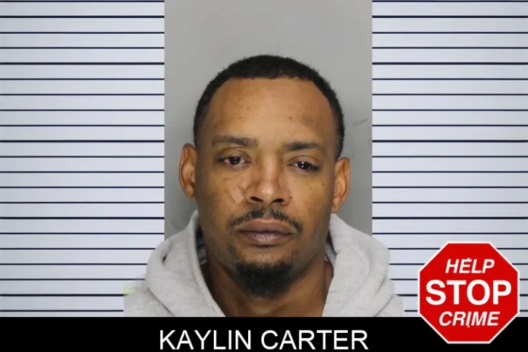 Kaylin Carter mugshot – Cobb County , Georgia Kaylin Carter