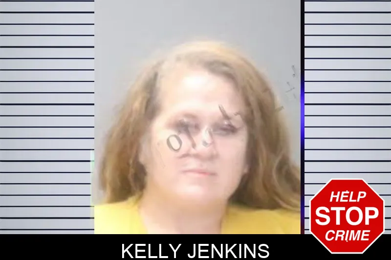 Kelly Jenkins Mugshots