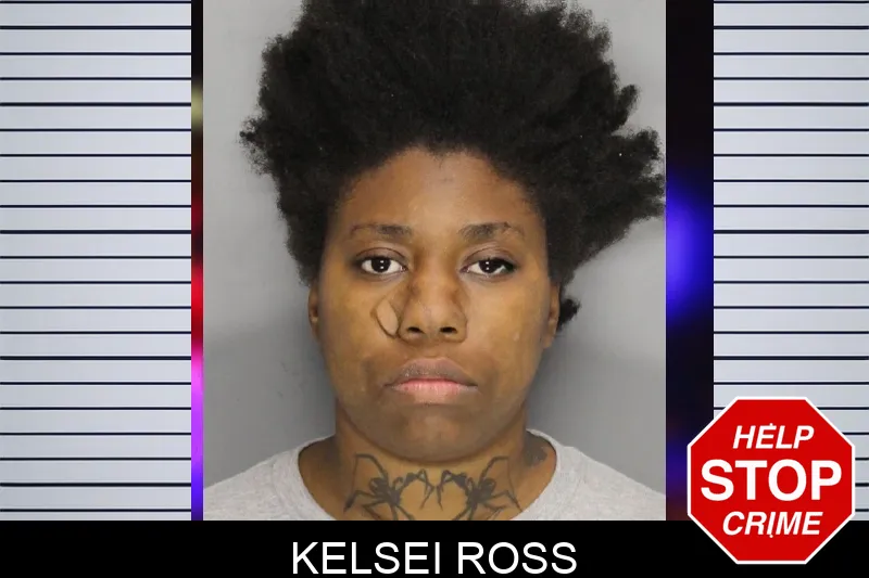 Kelsei Ross mugshot – Cobb County , Georgia Kelsei Ross mugshot