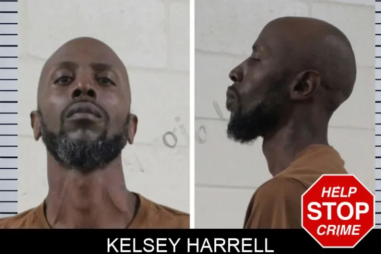 Kelsey Harrell mugshot – Houston County , Georgia Kelsey Harrell