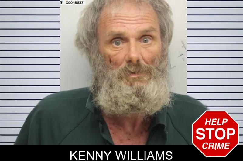 Kenny Williams mugshot – Chatham County , Georgia Kenny Williams mugshot