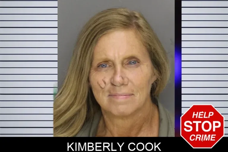Kimberly Cook mugshot – Cobb County , Georgia Kimberly Cook